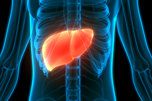 Thumbnail image for "How the Liver Works"