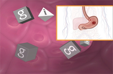 Thumbnail image for "Diabetes Medications: Acarbose, Miglitol"