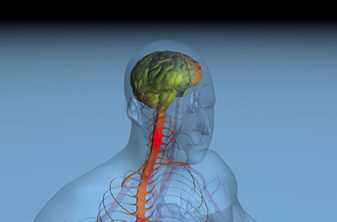 Thumbnail image for "Morphine"