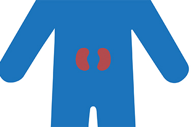 Thumbnail image for "Chronic Kidney Disease"