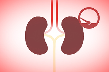 Thumbnail image for "Acute Kidney Injury"