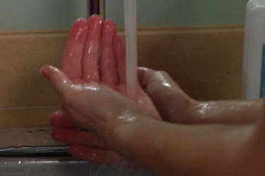 Thumbnail image for "Hand Washing Tips"
