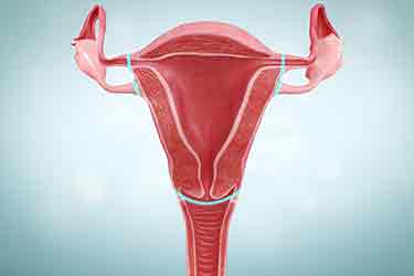 Thumbnail image for "Histerectomía vaginal"