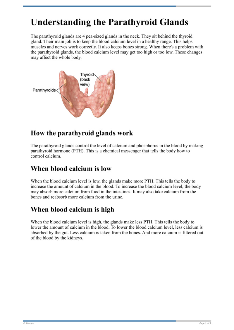 Poster image for "Understanding the Parathyroid Glands"