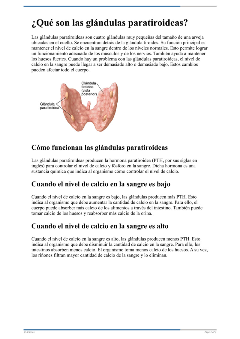 Poster image for "¿Qué son las glándulas paratiroideas?"
