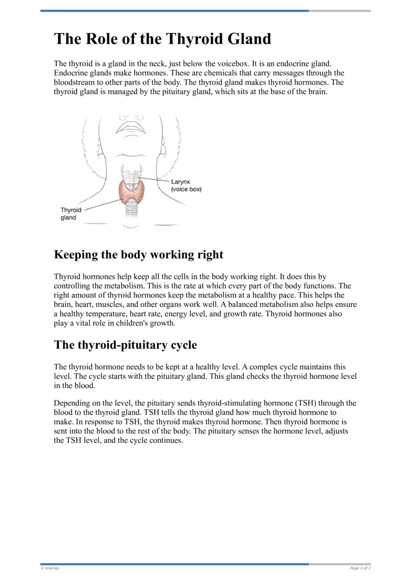 Poster image for "The Role of the Thyroid Gland"