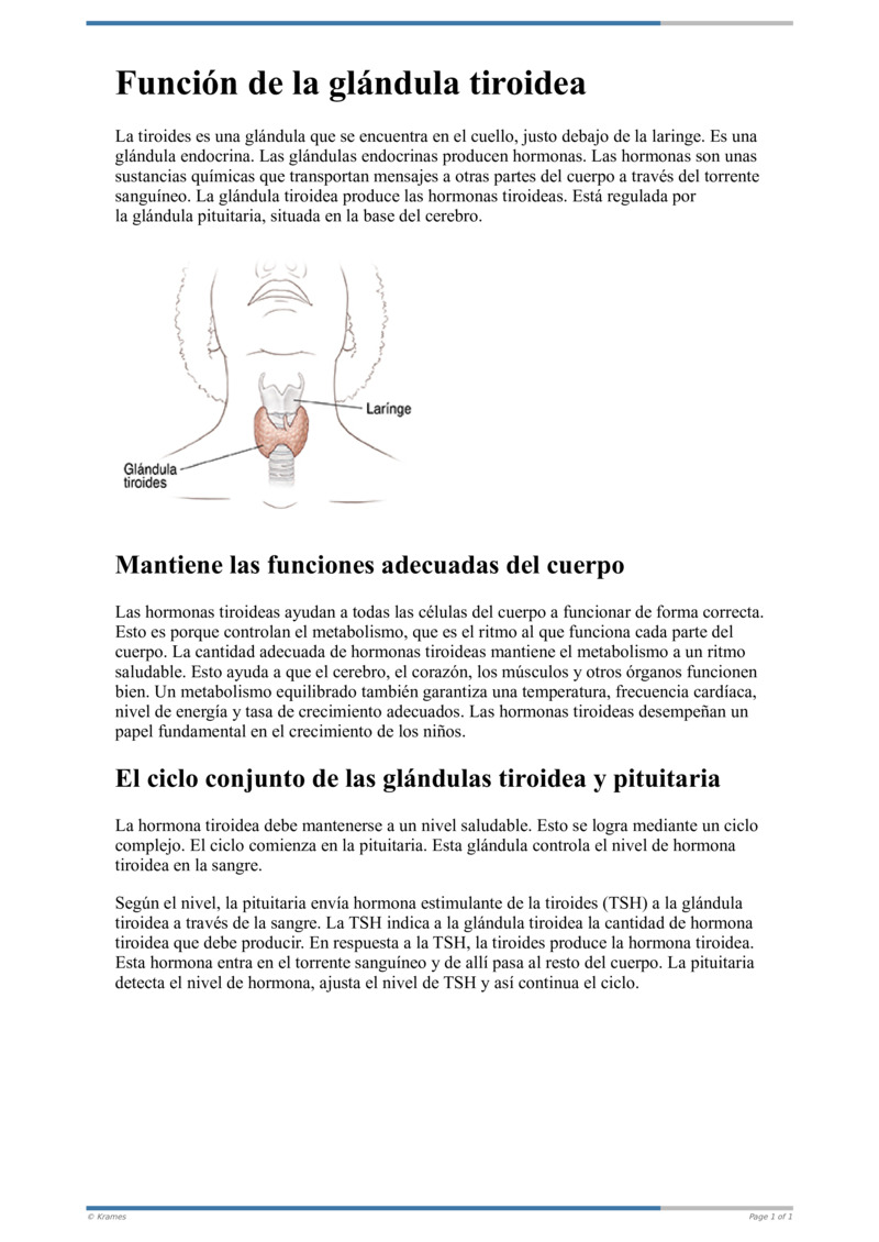 Poster image for "Función de la glándula tiroidea"