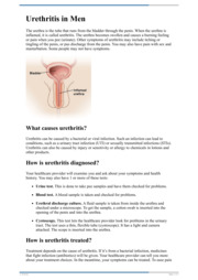 Thumbnail image for "Urethritis in Men"
