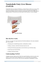 Thumbnail image for "Nonalcoholic Fatty Liver Disease (NAFLD)"