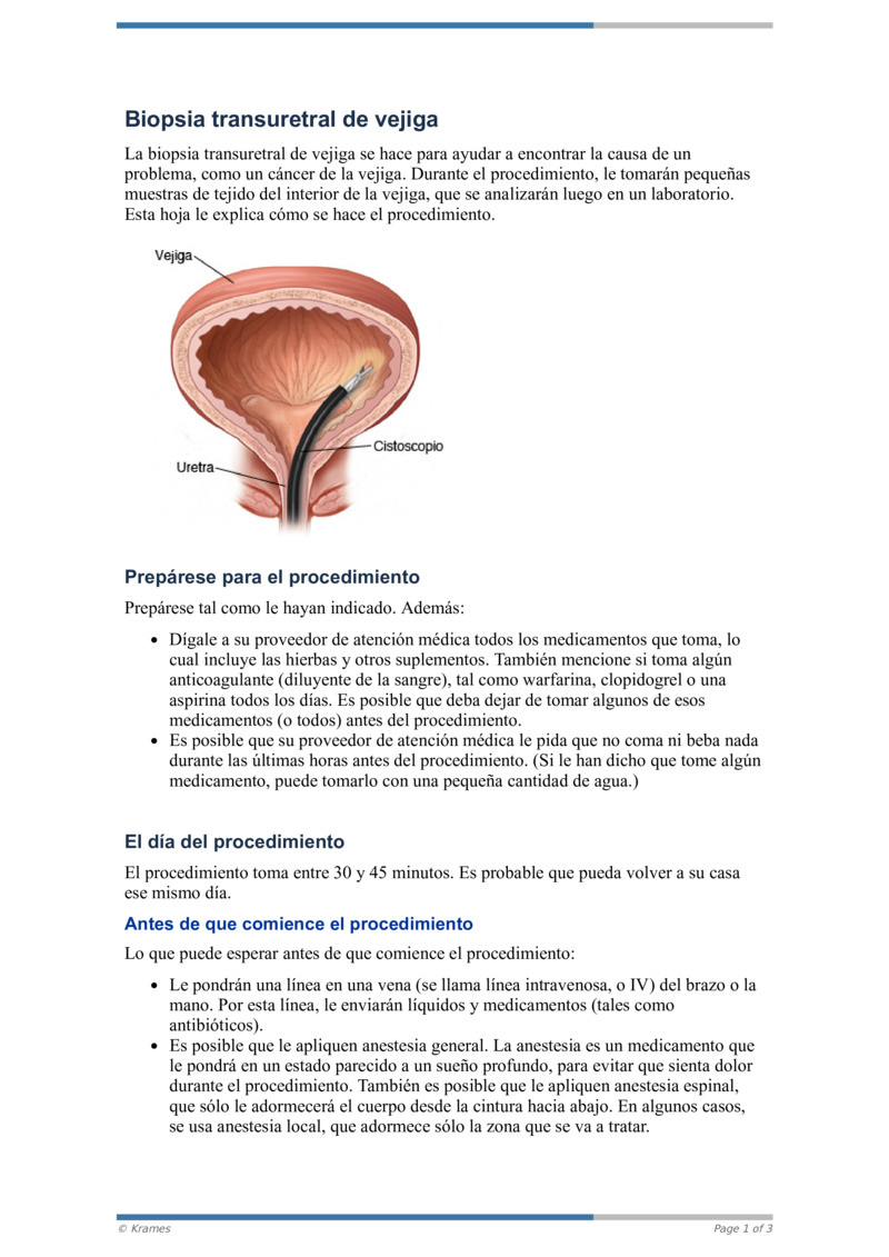PDF Biopsia transuretral de vejiga HealthClips