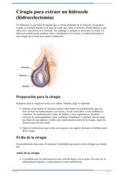 Thumbnail image for "Cirugía para extraer un hidrocele (hidrocelectomía)"