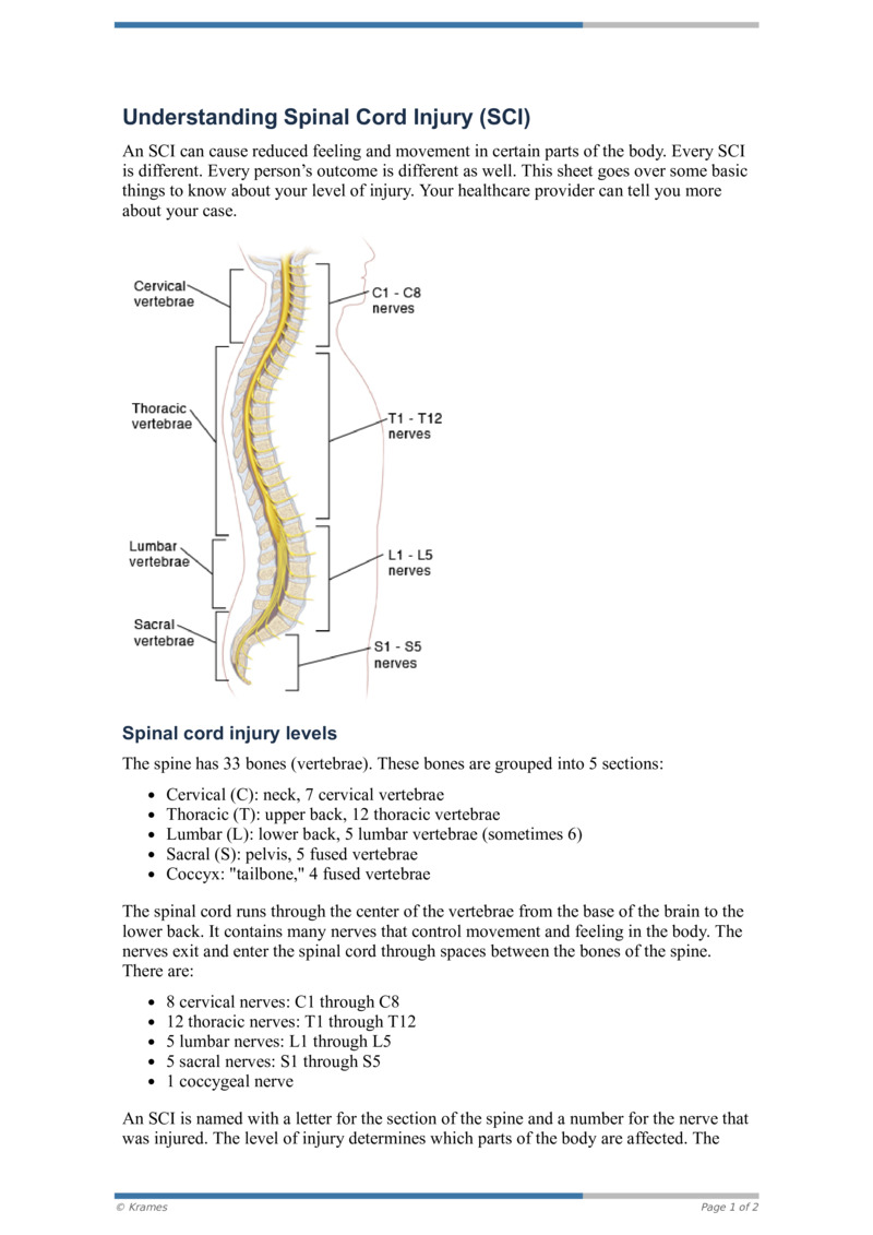 PDF - Understanding Spinal Cord Injury (SCI) - HealthClips Online