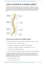 Thumbnail image for "Información sobre la lesión de la médula espinal"