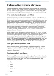 Thumbnail image for "Understanding Synthetic Marijuana"