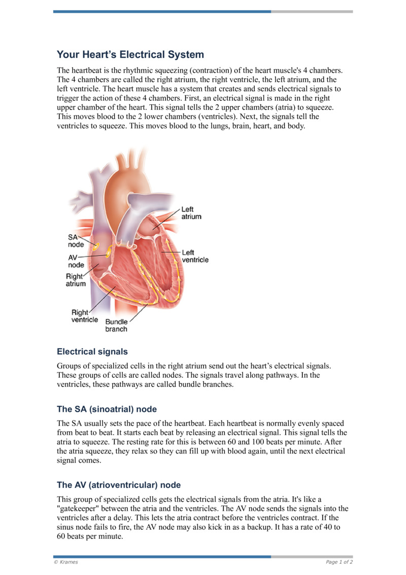 PDF Your Heart's Electrical System HealthClips Online