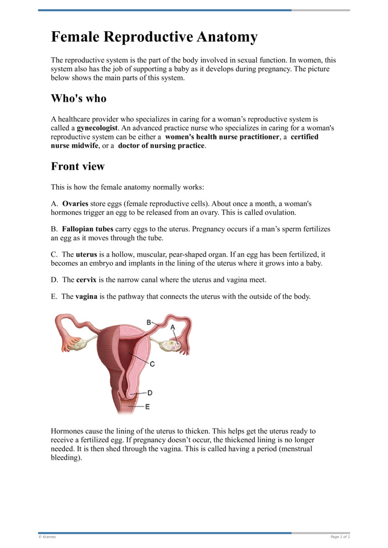 PDF - Female Reproductive Anatomy - HealthClips Online