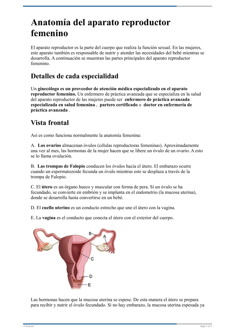 Text - Anatomía Del Aparato Reproductor Femenino - HealthClips Online