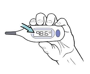 best lubricant for rectal thermometer Types Of Butt Plugs – MysteryVibe main image 1