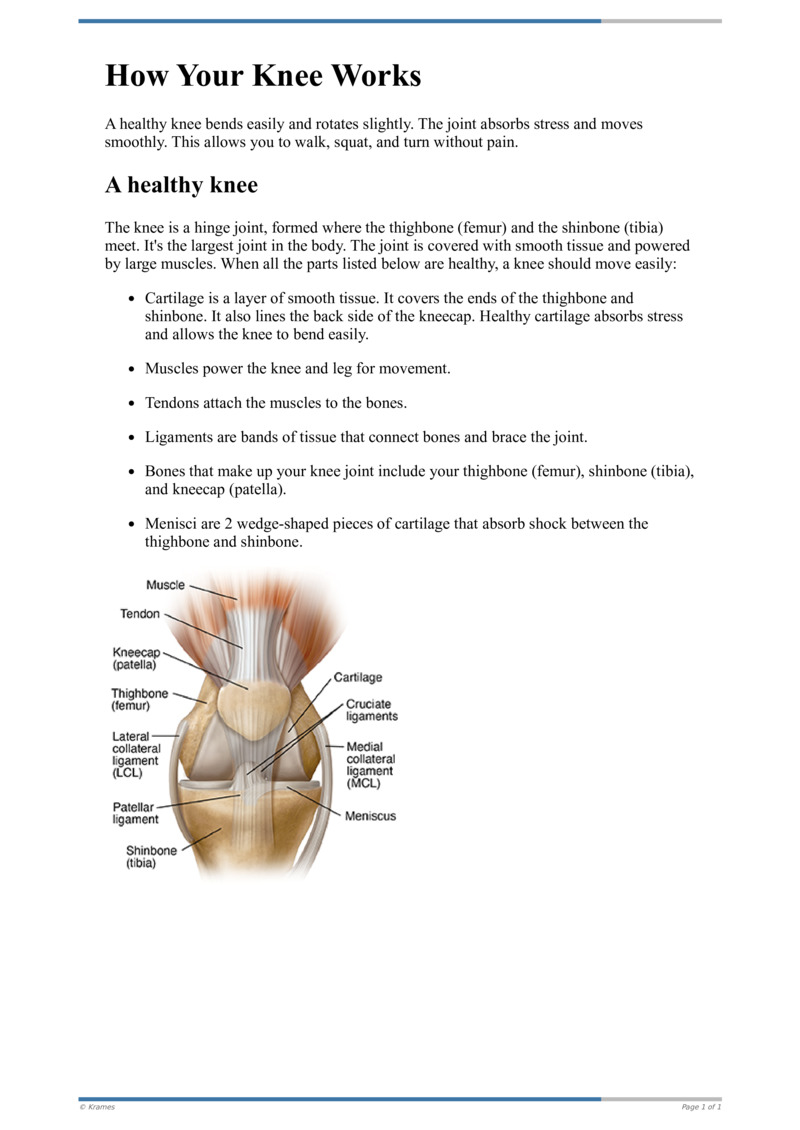 Text How Your Knee Works HealthClips Online