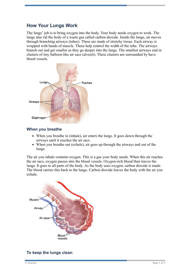 PDF - How Your Lungs Work - HealthClips Online