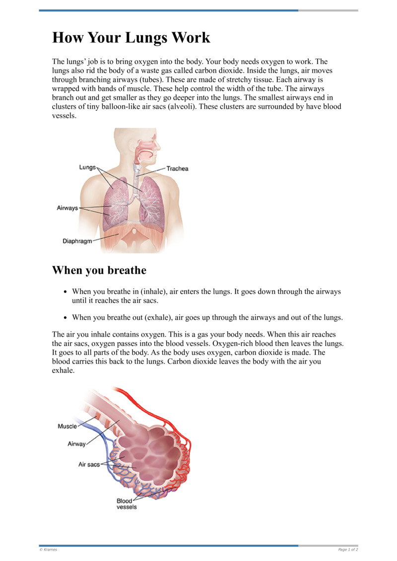 Text - How Your Lungs Work - HealthClips Online