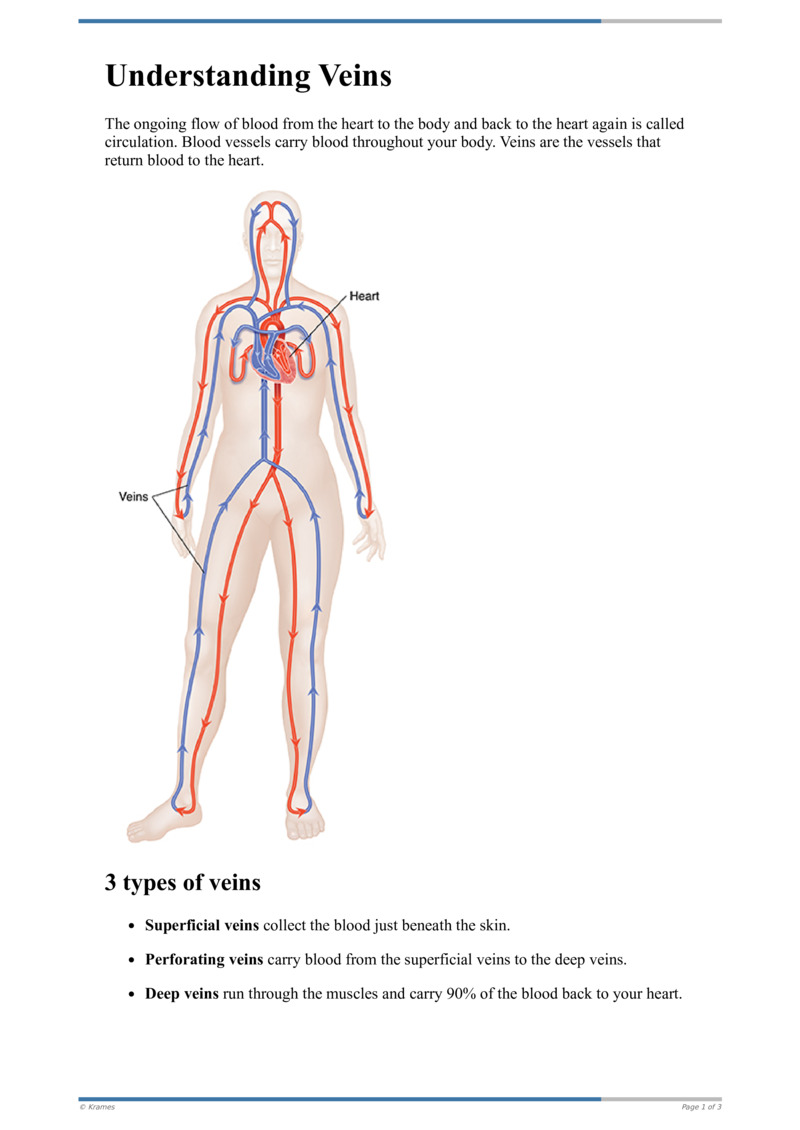 Text - Understanding Veins - HealthClips Online