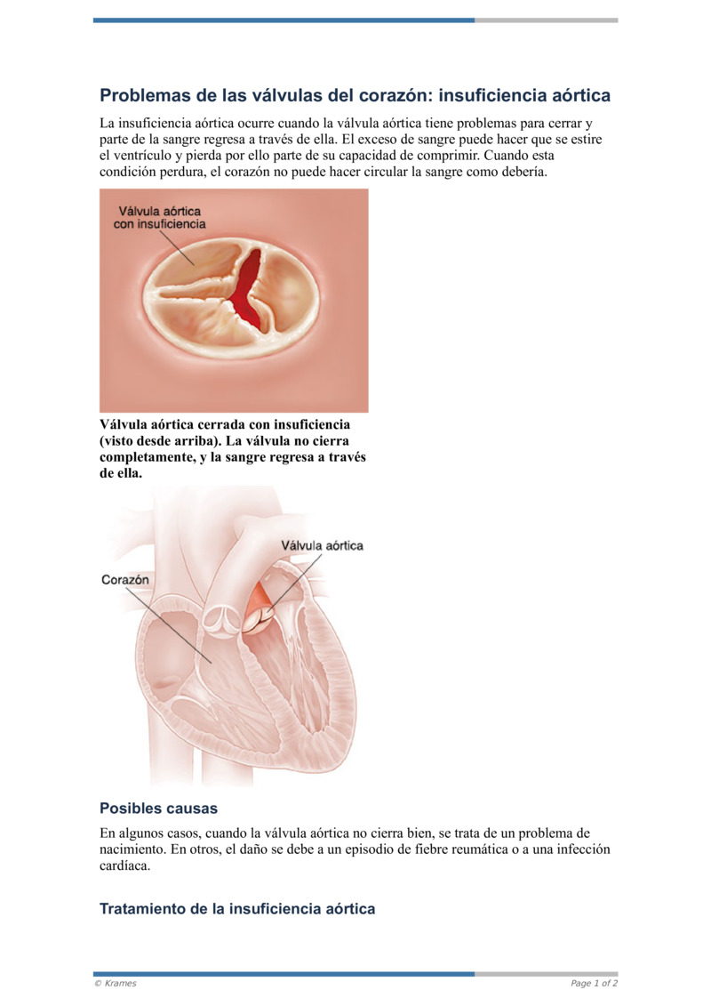 PDF Problemas de las válvulas del corazón insuficiencia aórtica PDF Problemas de las válvulas del corazón insuficiencia aórtica