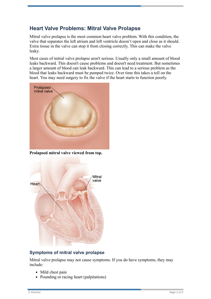 an-illustration-of-the-heart-valves-from-above-physiology-cardiac