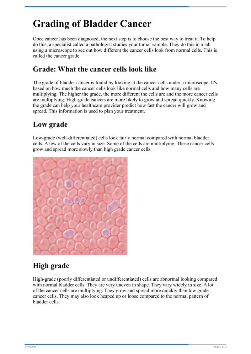 Fgfr3 Bladder Cancer