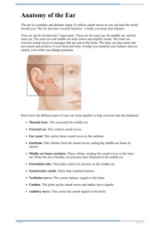 Thumbnail image for "Anatomy of the Ear"