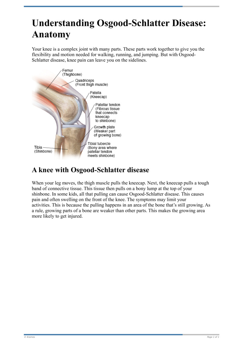 Text Understanding Osgood Schlatter Disease Anatomy Healthclips Online