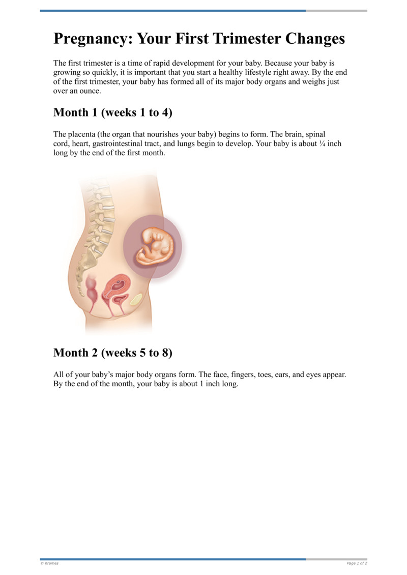 Text - Pregnancy: Your First Trimester Changes