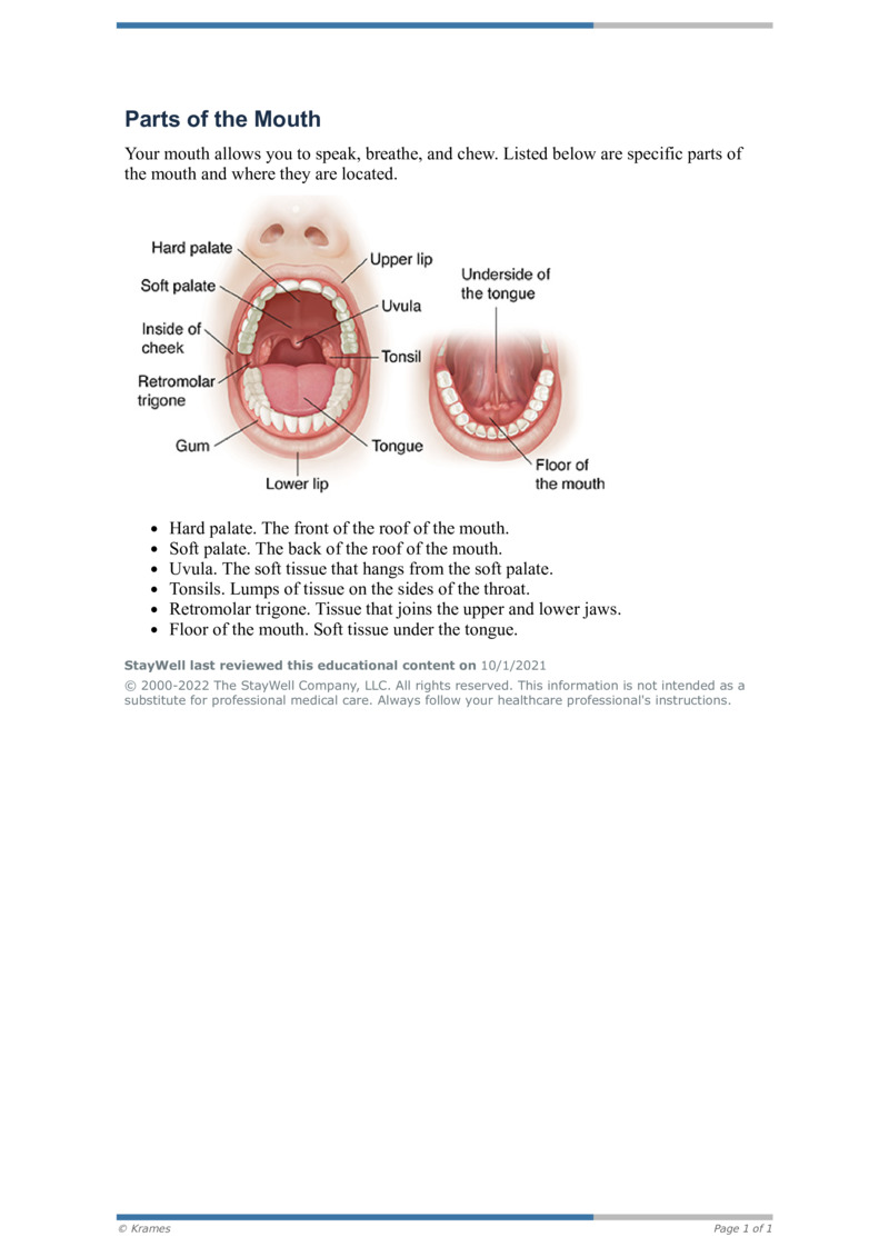 Pdf Parts Of The Mouth Healthclips Online