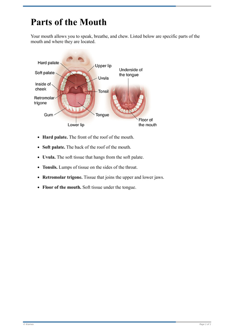 text-parts-of-the-mouth-healthclips-online