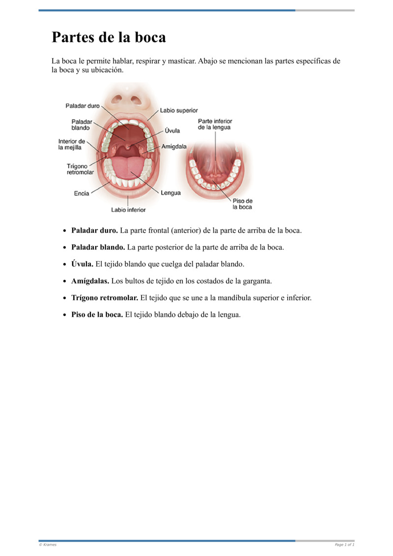 Text Partes de la boca HealthClips Online
