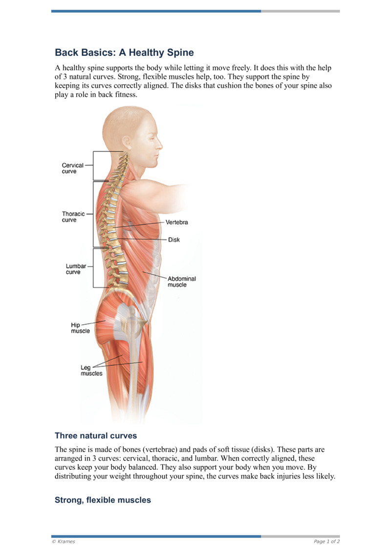 PDF - Back Basics: A Healthy Spine - HealthClips Online