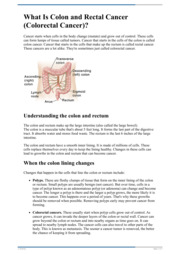 Thumbnail image for "What Is Colon and Rectal Cancer (Colorectal Cancer)?"