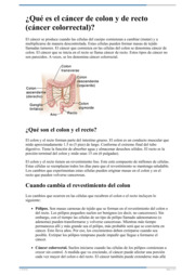 Thumbnail image for "Cáncer de colon y de recto (cáncer colorrectal)"