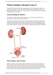 Thumbnail image for "What Is Kidney (Renal) Cancer?"