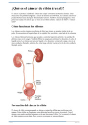 Thumbnail image for "¿Qué es el cáncer de riñón (renal)?"