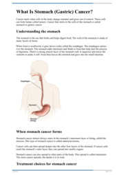 Thumbnail image for "What Is Stomach (Gastric) Cancer?"