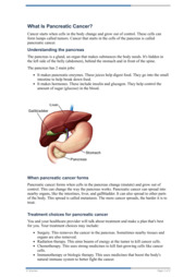 Thumbnail image for "What Is Pancreatic Cancer?"
