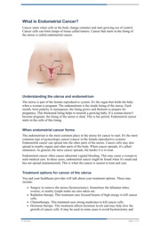 Thumbnail image for "What Is Endometrial Cancer"