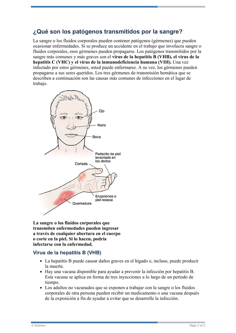 Pdf ¿qué Son Los Patógenos Transmitidos Por La Sangre Healthclips Online 3701