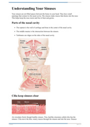 Thumbnail image for "Understanding Your Sinuses"