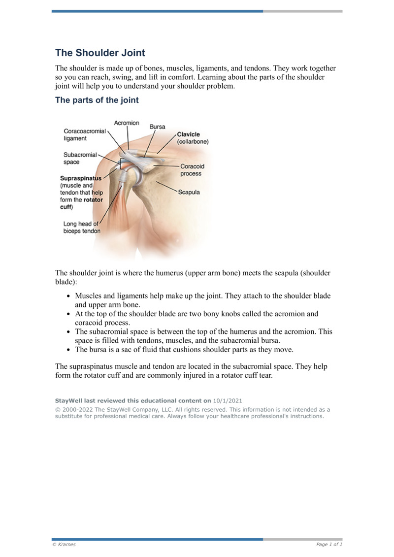 PDF - The Shoulder Joint - HealthClips Online