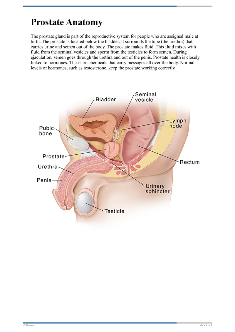 Step-by-Step: Heel Stick for an Infant