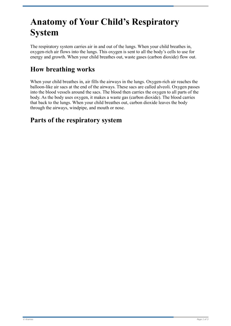 Text Anatomy of Your Child's Respiratory System HealthClips Online