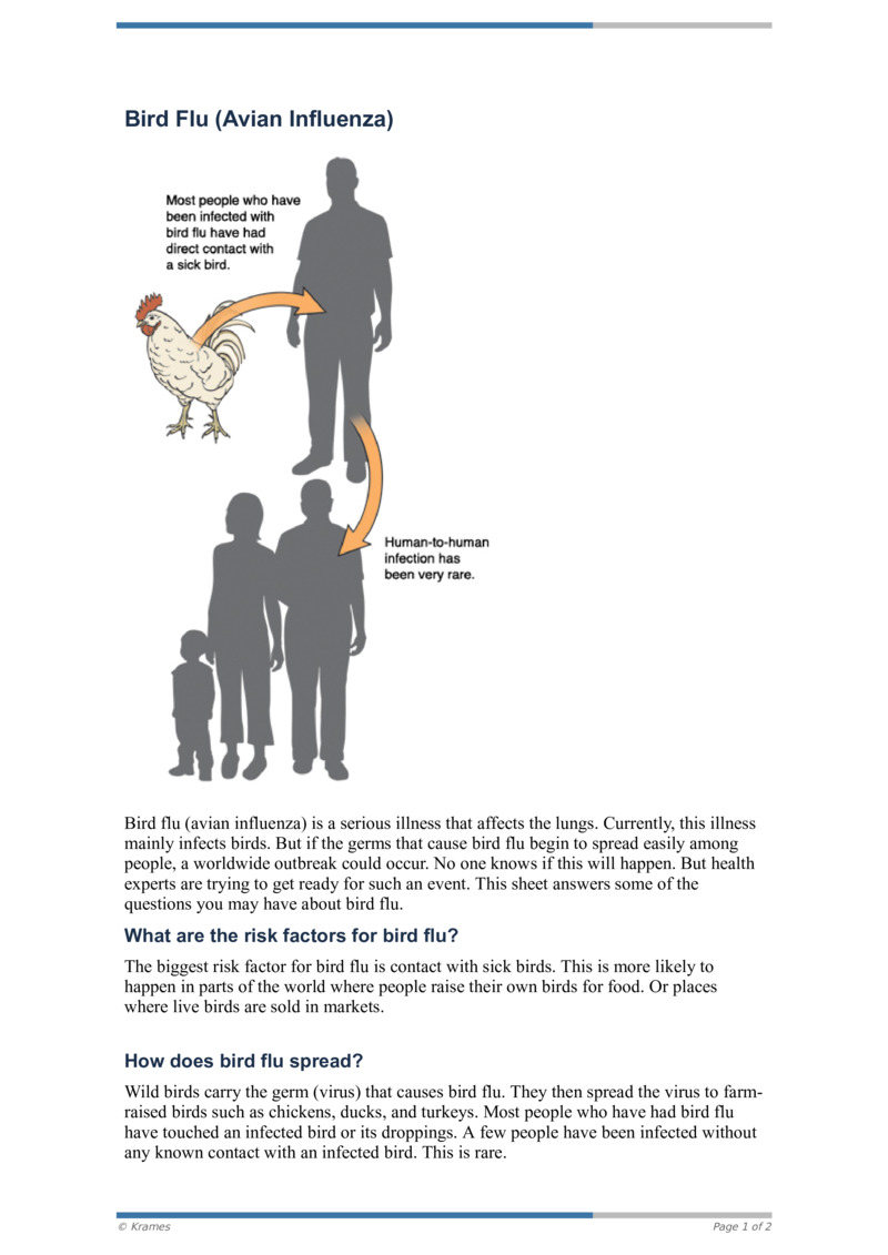 PDF Bird Flu (Avian Influenza) HealthClips Online