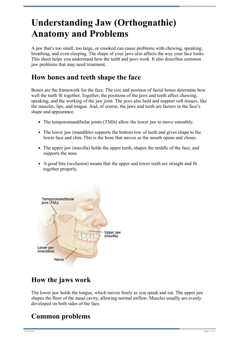 Text Understanding Jaw (Orthognathic) Anatomy and Problems